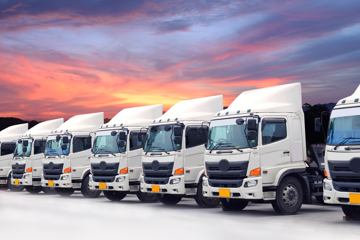 Fleet Transport Service